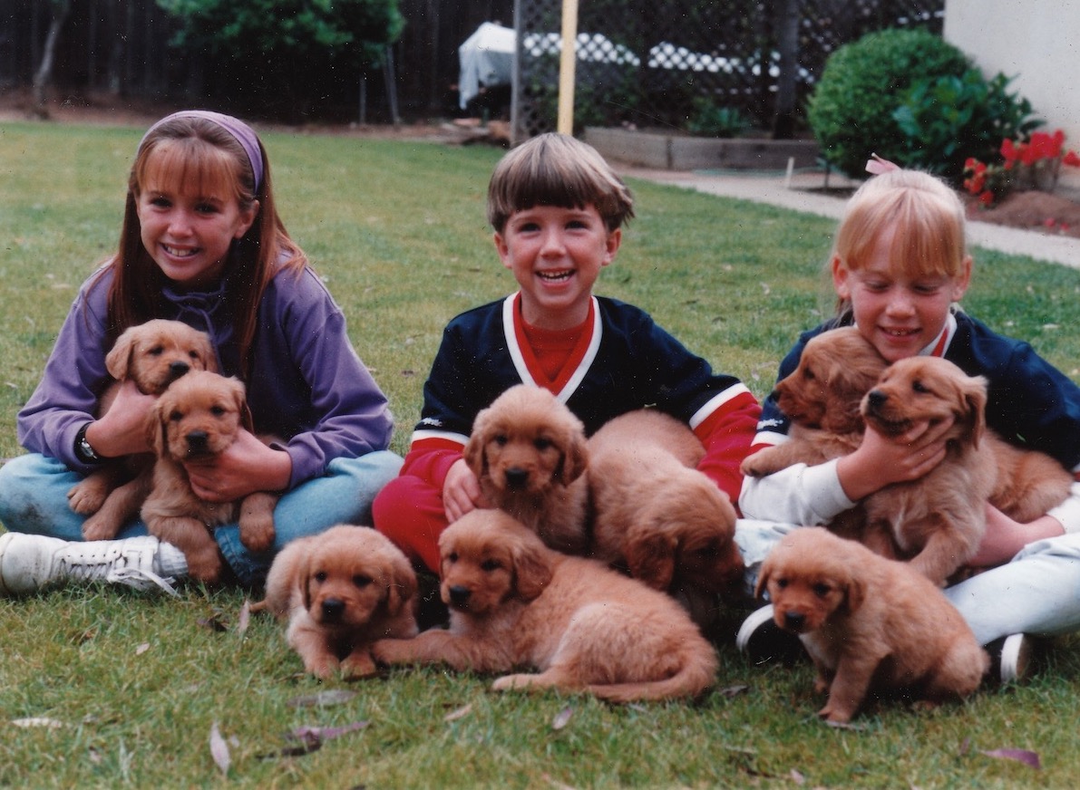 Three children sitting on the grass with a litter of golden retriever puppies.